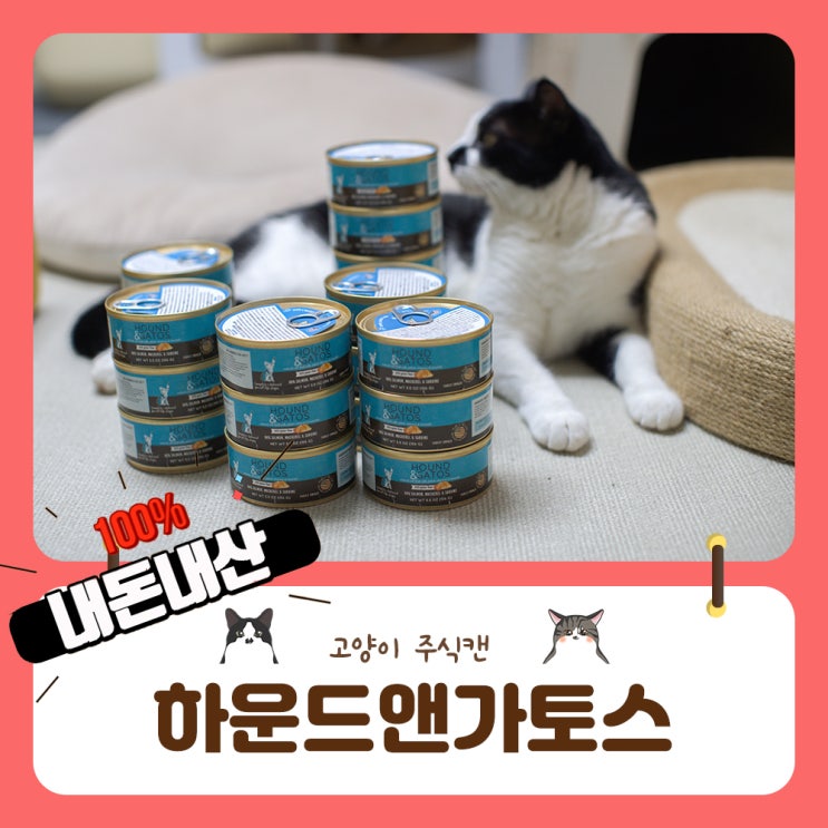  생선파 고양이 습식추천 하운드앤가토스