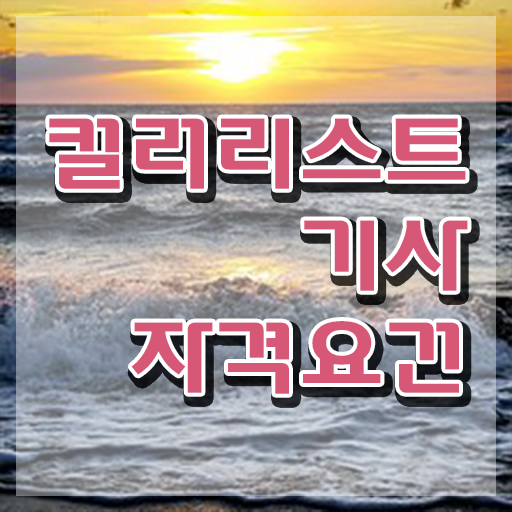  컬러리스트 기사 합격률 컬러리스트기사 취득자격 온라인 과정으로 4달 안에 완료한 전략