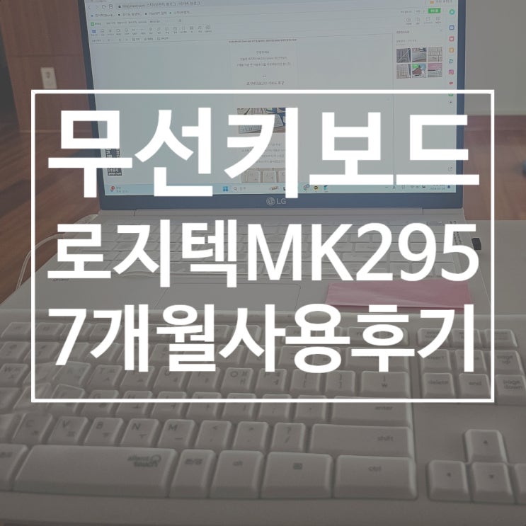  로지텍 MK295 Silent 7개월 찐 사용 후기