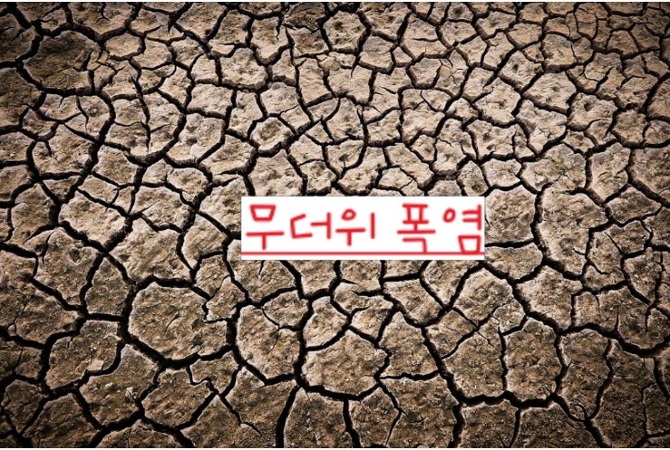  24년 태풍3호 개미가 우리나라에 폭염