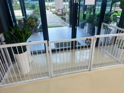 사진 6
