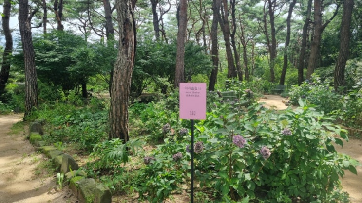  파주 가볼만한곳 벽초지수목원 2탄