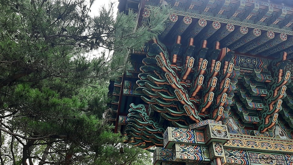 금복정 사진 2