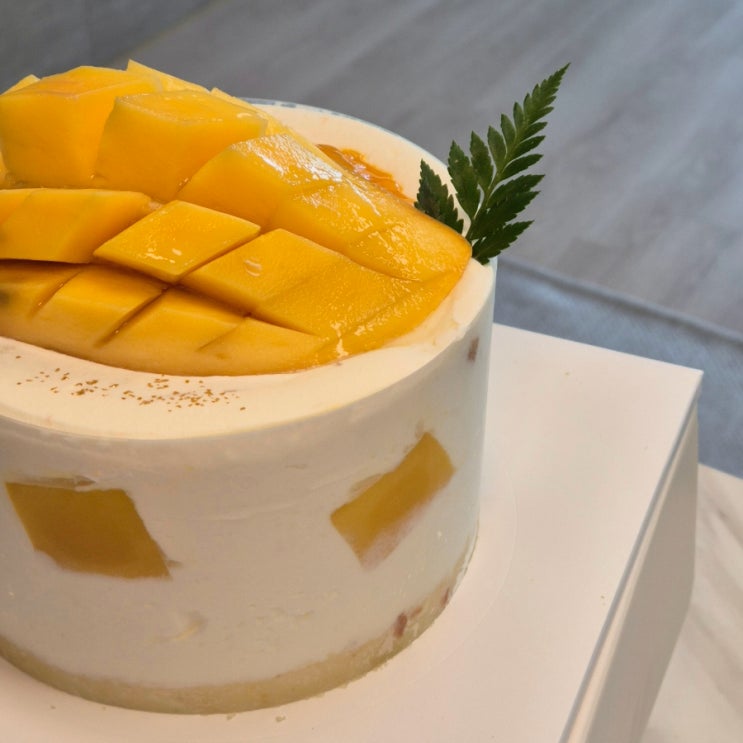  생일케이크 창원 반송시장 카페 소안 망고케이크 후기