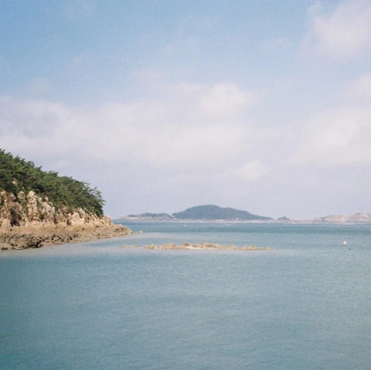 003640 필름사진 종로와 장항