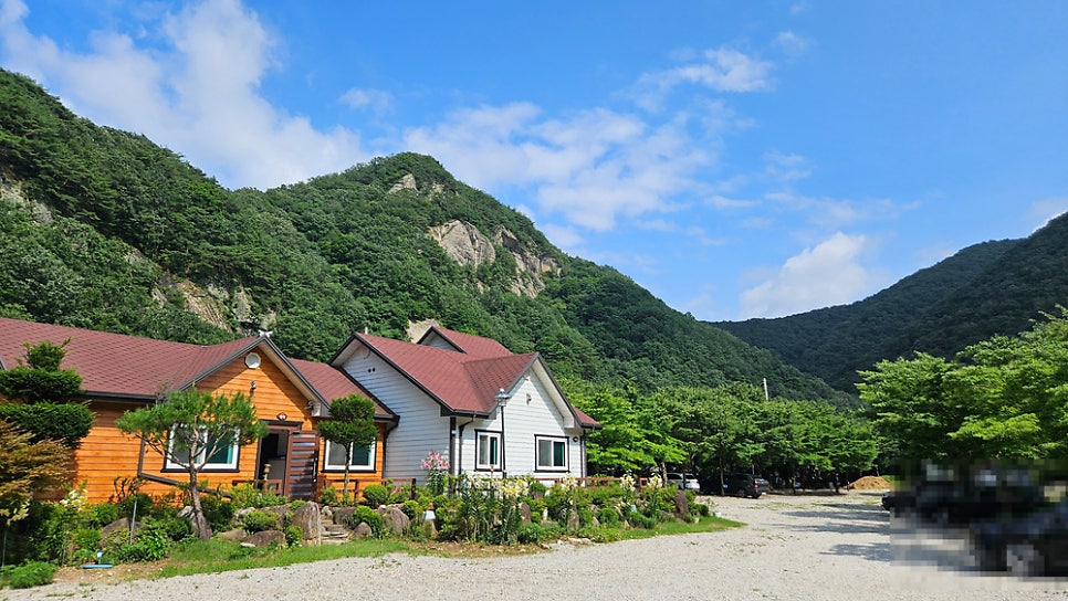 숲펜션&캠핑장 사진 1