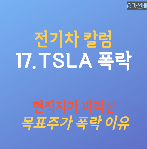 테슬라 적정 주가 전망 - 목표주가 폭락