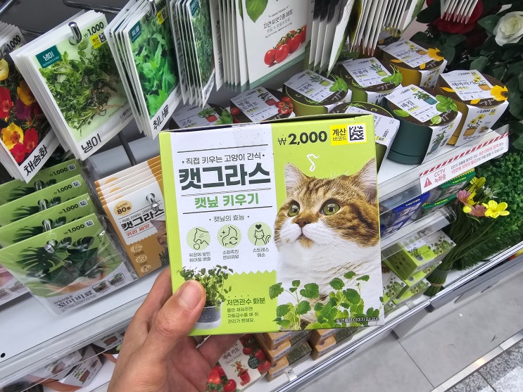  [인프제 일기] 반려동물에 진심인 다이소 평택동삭점 신규 오픈