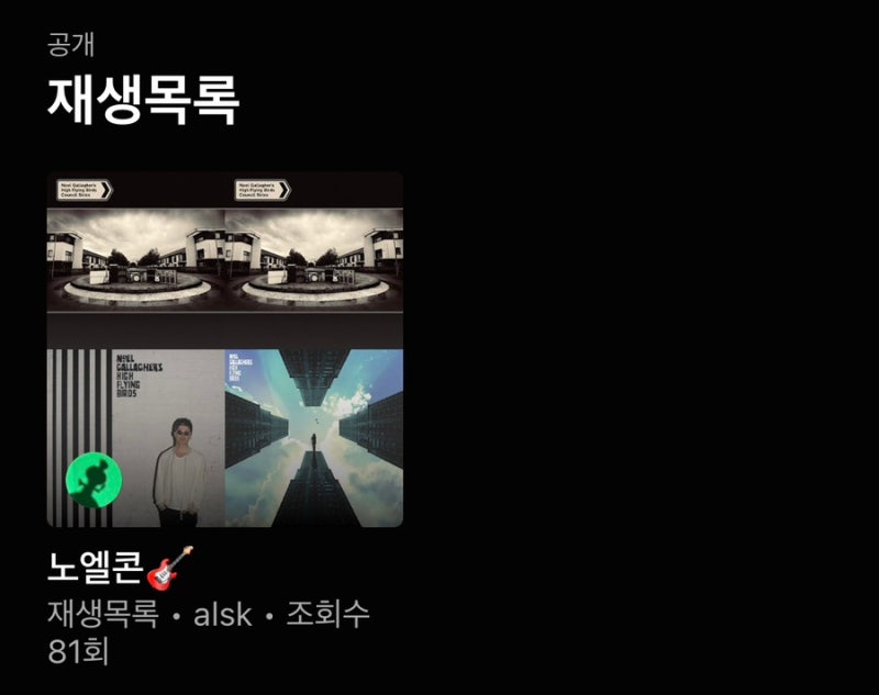노엘 갤러거 콘서트