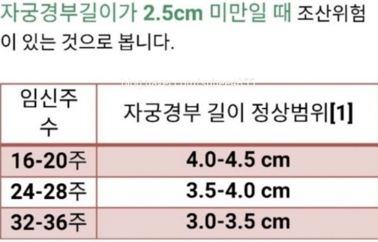  [쌍둥이임신16주4일] 고대안산병원 입원하다.(1)