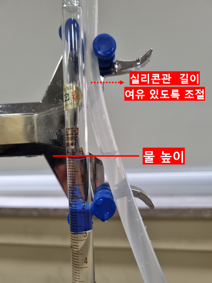  화학 반응 속도 실험 및 원리를 알아보자.(feat. 과산화수소 분해 반응)