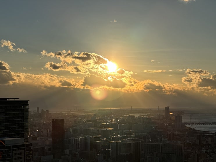  오사카 포토덤프 :: 우메다 공중정원, 햅파이브 관람차, 도톤보리 크루즈, 츠텐카쿠