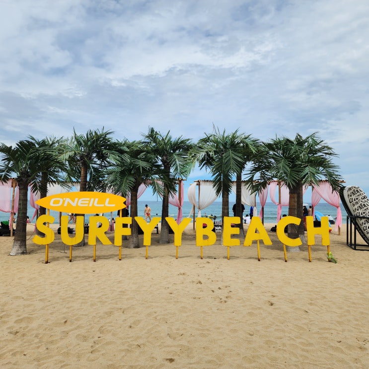  양양 서피비치 강원도 여행 동해 중광정 해수욕장 가볼만한 곳 주차 시설사용료