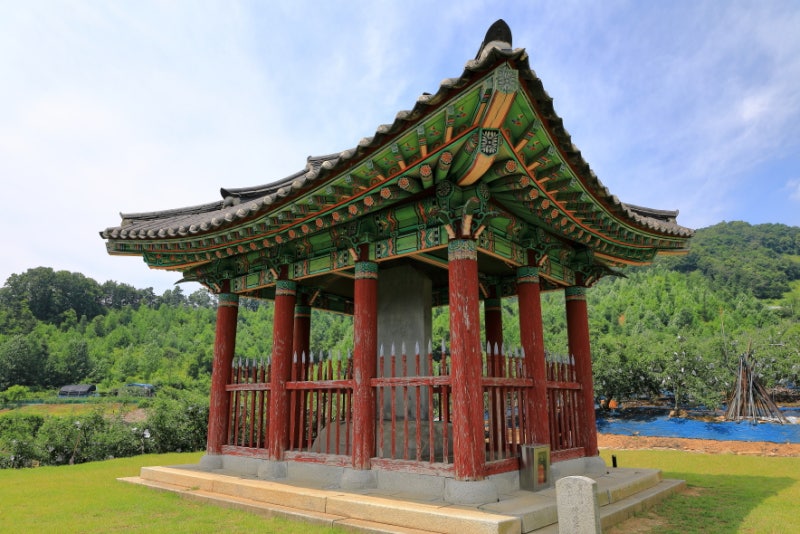 사진 5