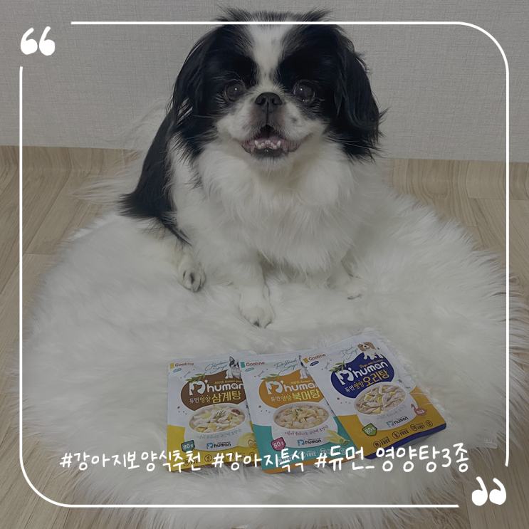  강아지보양식추천 강아지특식 간편한 듀먼 영양탕3종