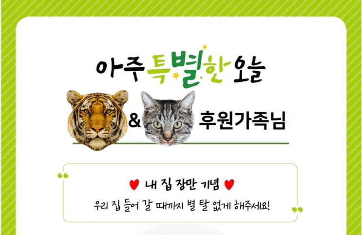  [취득세] 카드 6개월 무이자 할부 꿀팁!