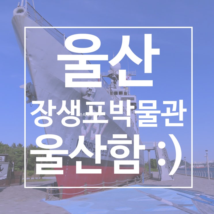  울산함 체험 장생포 박물관에서의 특별한 하루