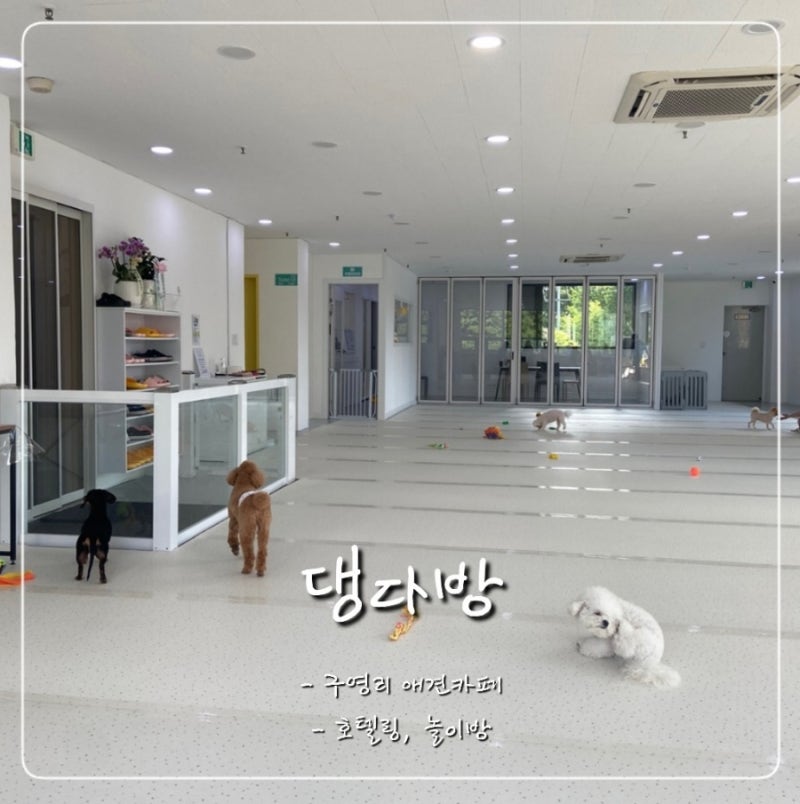 사진 3