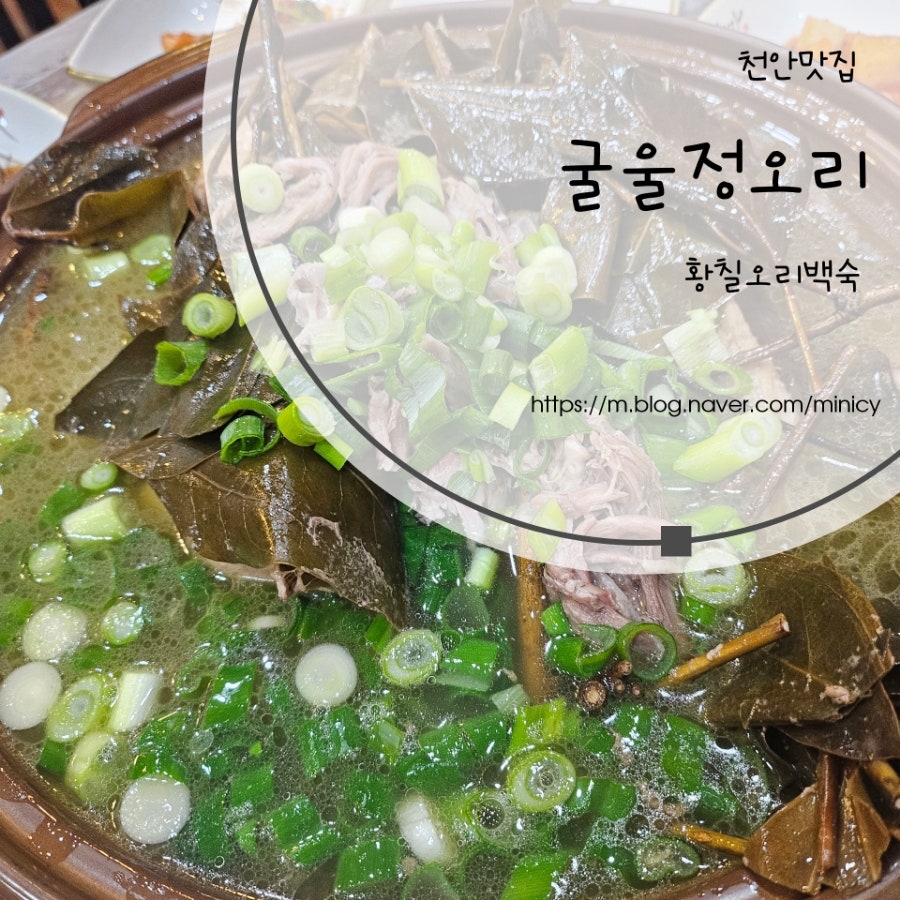 굴울정오리 사진 1