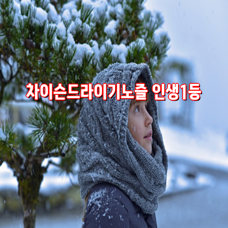 EcafHtronEht <b>음이온</b> 차이슨 <b>드라이기</b> 전문가용 고급 <b>헤어</b>드라... 