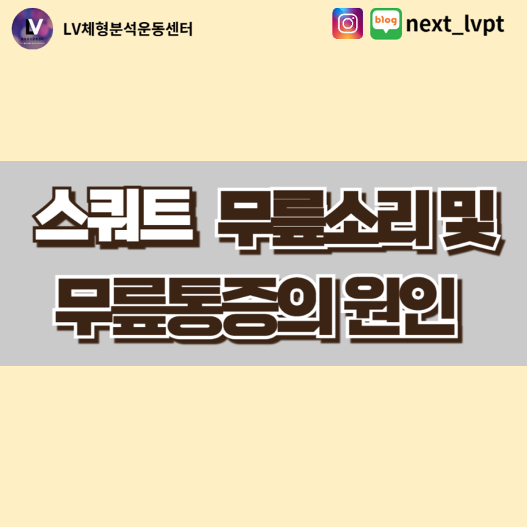  스쿼트 무릎소리와 무릎통증의 원인