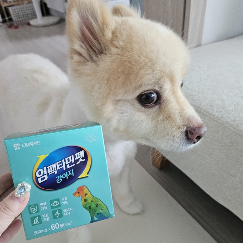 <임팩타민펫 강아지> 댕댕이 영양제 대웅제약  면역력 에너지 종합 영양제