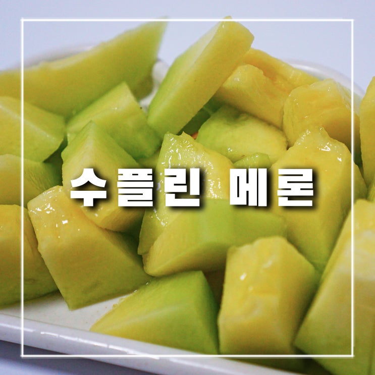  요즘 제철 과일, 수플린 고당도 곡성 메론 선물로 받았어요