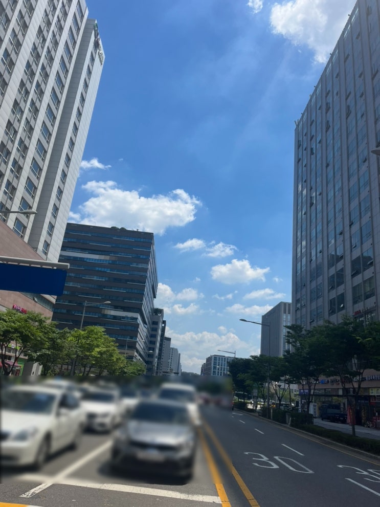  지난주에 써둔 밀린 일상 포토덤프 나중에 올리기 [옥된장, 인사이드아웃2]