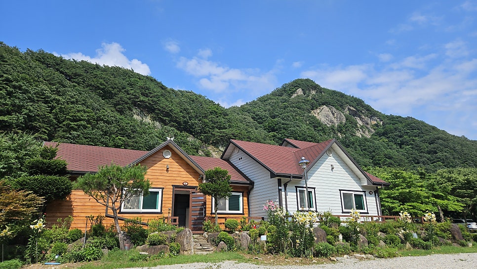 숲펜션&캠핑장 사진 3