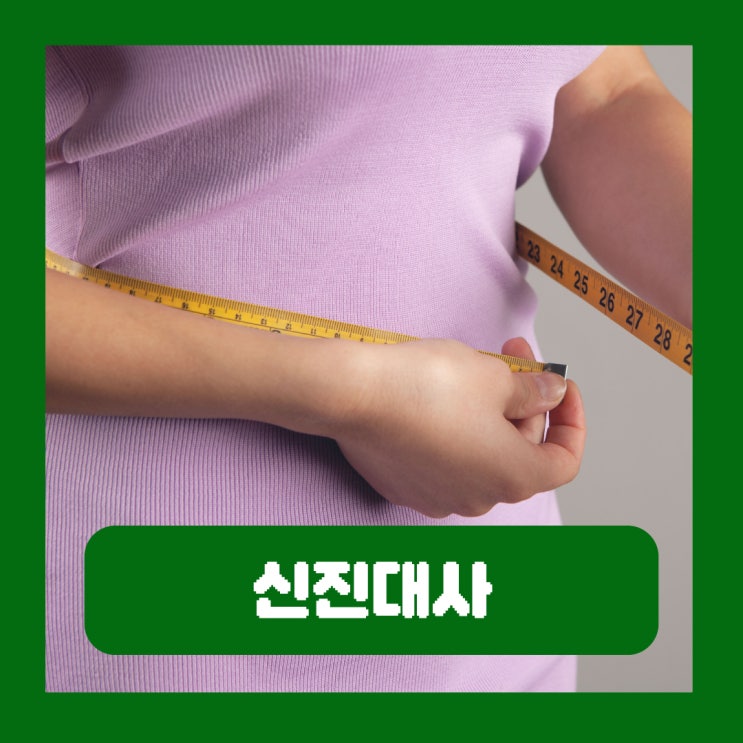  신진대사 뜻 종류 높이는 방법 물질대사 촉진하는 음식