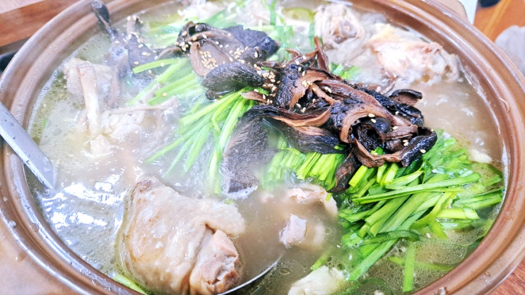 말복 음식으로 오리 한 마리 조지고 왔습니다 개봉동 능이백숙 말복 음식으로 오리 한 마리 조지고 왔습니다 개봉동 능이백숙
