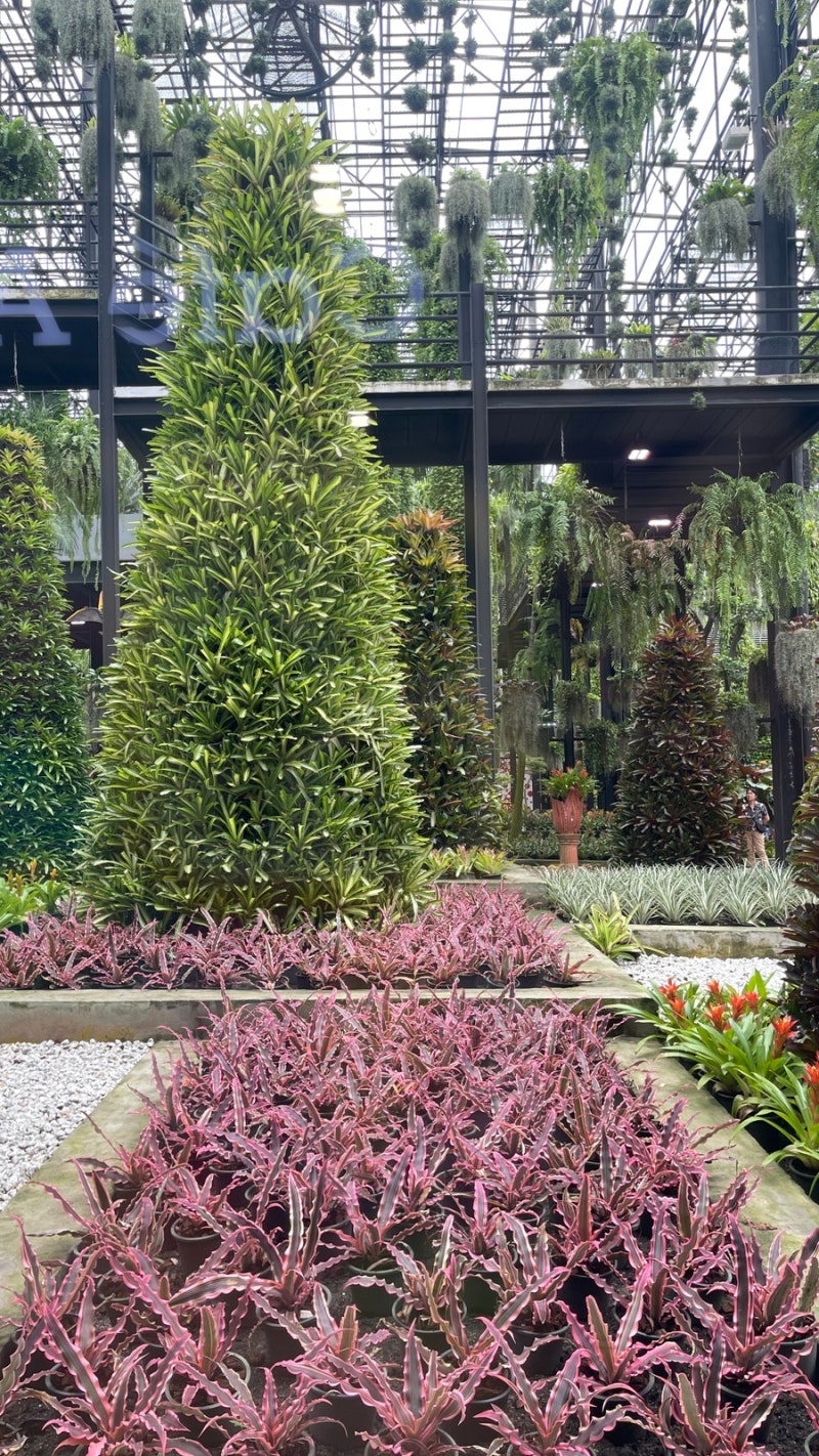 무료 이미지 : 잔디, 꽃, 밀림, 뒤뜰, 식물학, 정원, 열대 우림, 식물원, 마당, 물고기 연못 2848x2136 - -  107485 - 무료 이미지 - PxHere, image size:800x1422