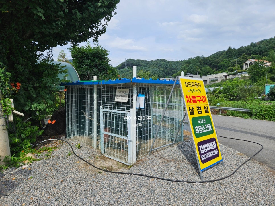 머물다 삼포 사진 3