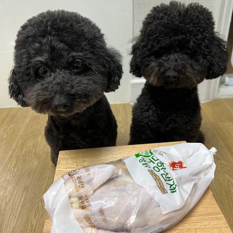  강아지 생닭 먹어도 되나요? 급여 시 효능과 주의할점