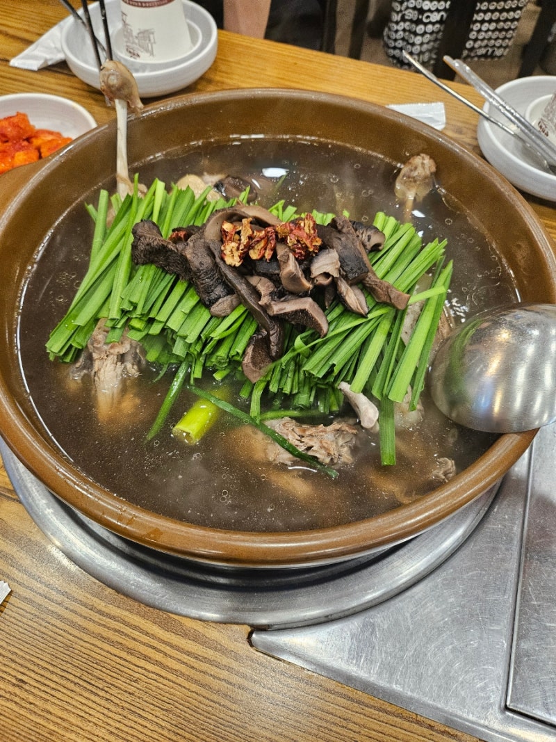 [당산역 맛집] 여름철 몸보신 능이버섯 오리백숙 맛집 당산마루 능이버섯삼계탕