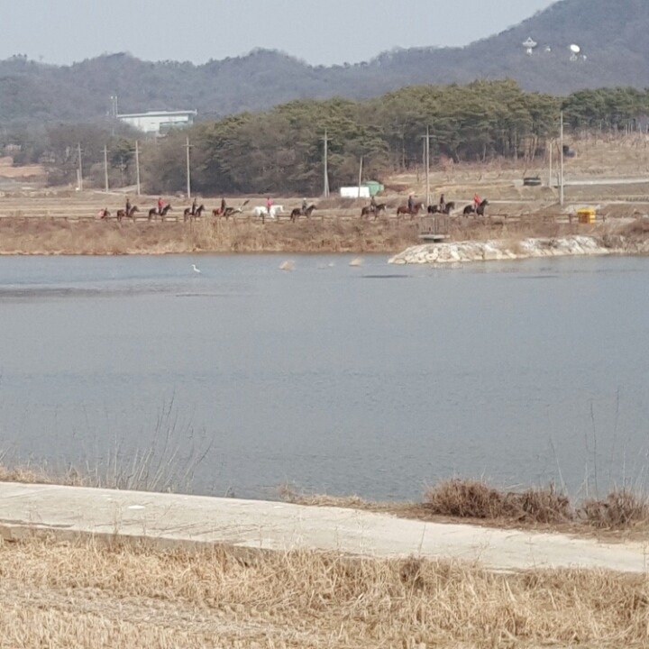  승마시 제일 중요한 안전장비