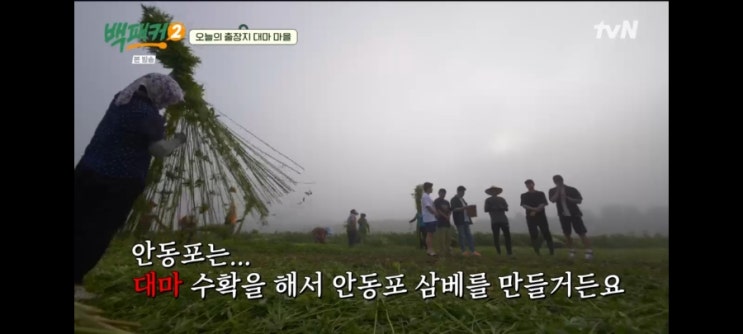 <b>백패커2</b> <b>대마</b>마을