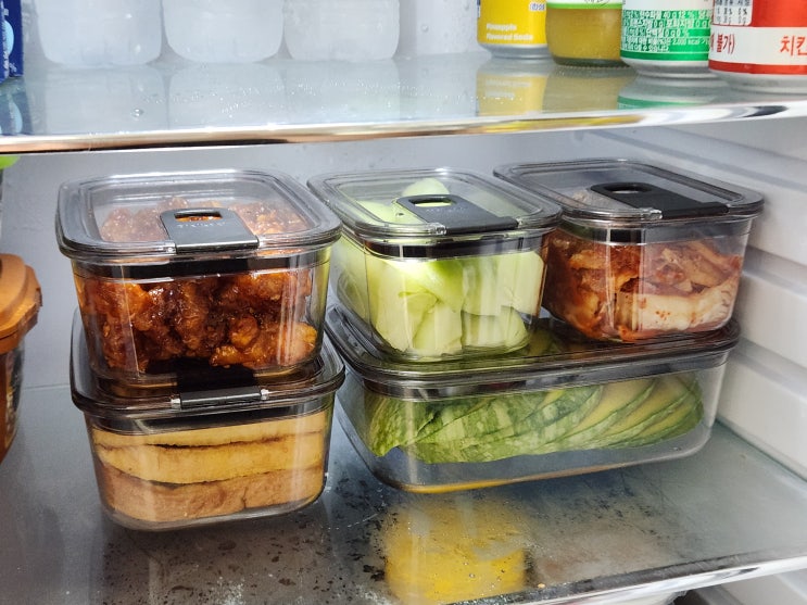  에코젠 밀폐용기 [비엘락 5종 세트] 깔끔한 올투명 용기 실사용 후기