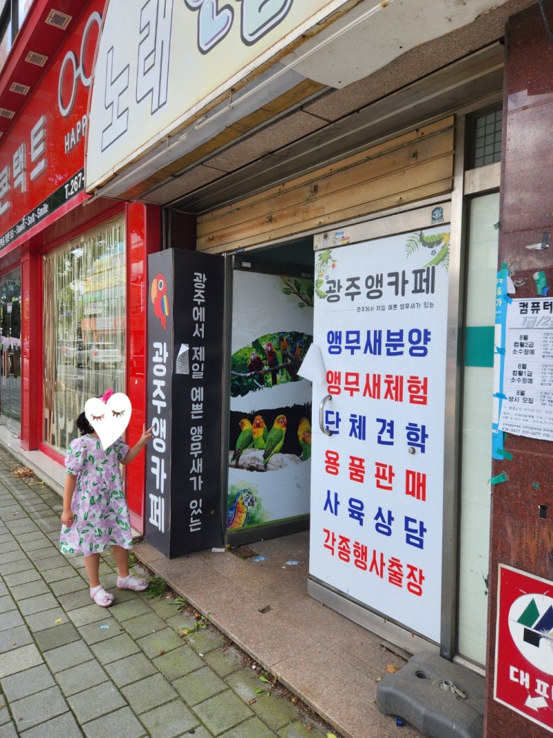 사진 5