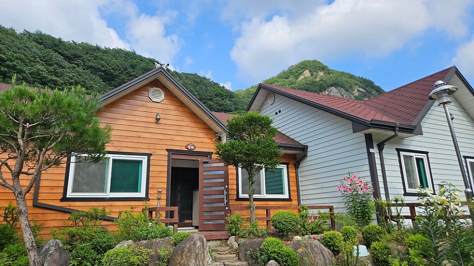숲펜션&캠핑장 사진 4