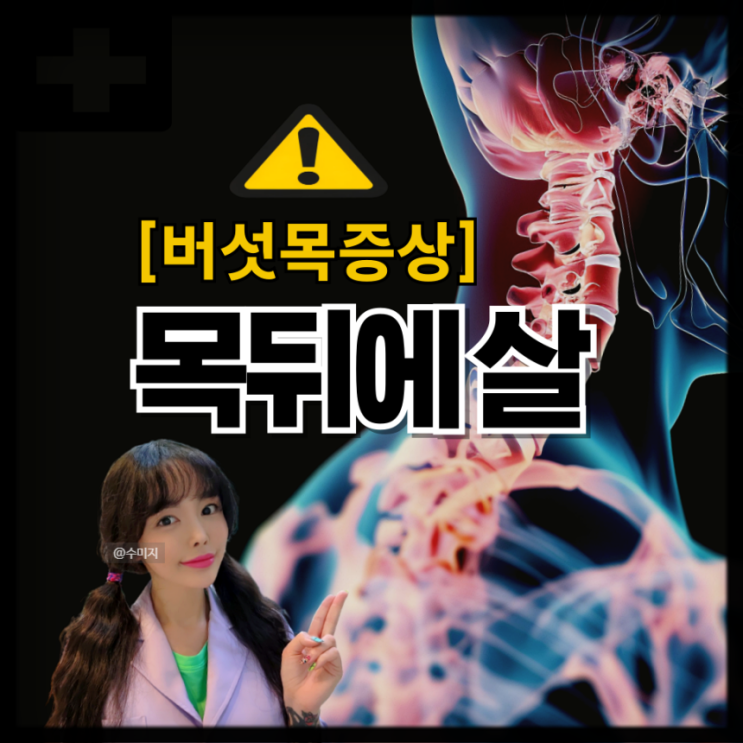  버섯목 : 목뒤뼈 목뒤살 목뒤에 혹 목뼈 통증 버섯증후군