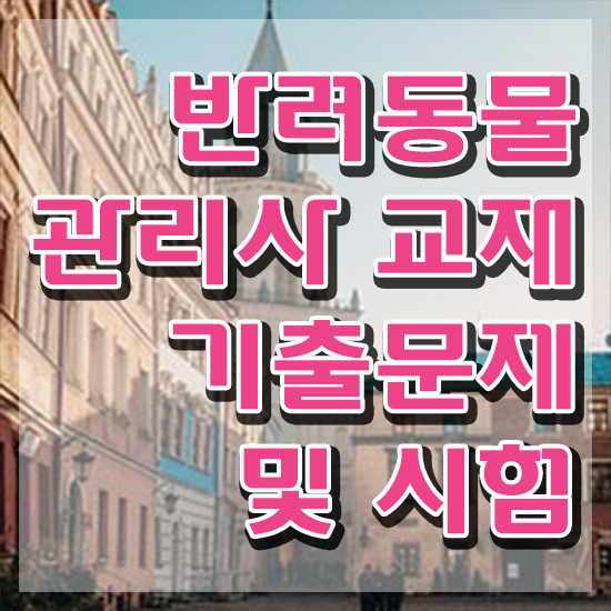  고양이 반려동물 등록 , 반려동물관리사 자격증 학습한 후기 최단기간 취득한 과정