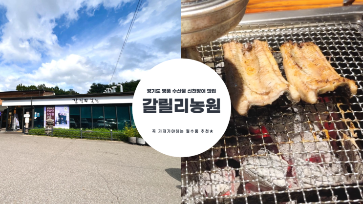  파주 신천 장어 맛집 갈릴리 농원 주말 오후 웨이팅 팁, 준비물 추천 리스트 정리