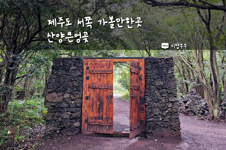  제주도 서쪽 가볼만한곳 산양큰엉곶 포토존 많은 제주 곶자왈 숲길 둘러보는 데 걸리는 소요시간 입장료 주차장 정보 8월 9월 10월 가기 좋은 제주관광지