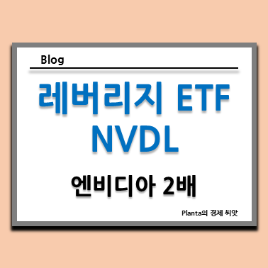  NVDL 주가 수수료 : 엔비디아 2배 ETF