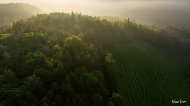  사회복지사자격증할인 . 사회복지사 관련학과 아니어도 학점은행제 인강으로 간편하게