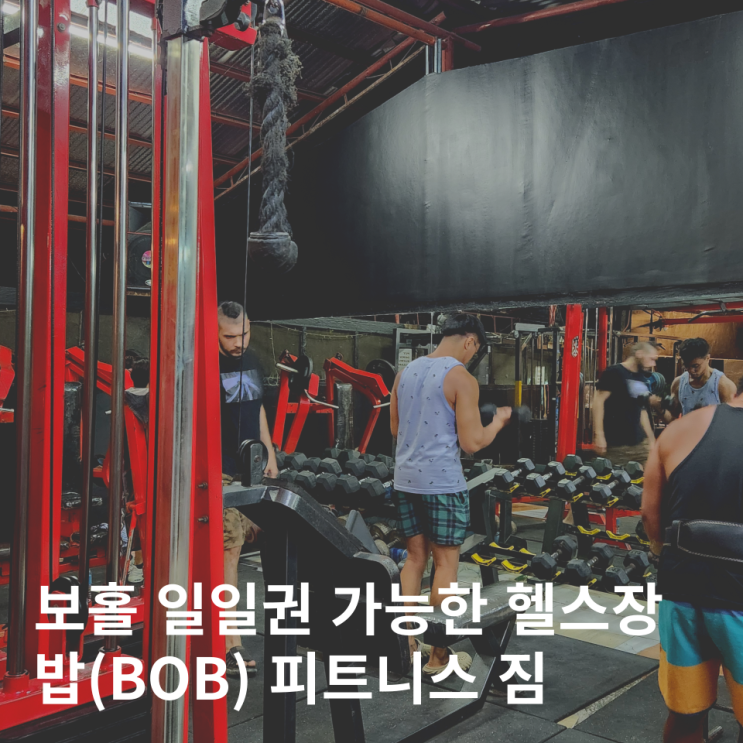  보홀 현지 헬스장 일일권 한달살기 피트니스 후기
