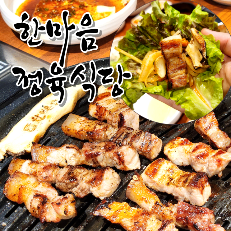 [진주 충무공동] 한마음 정육식당 혁신점 / 돼지고기 반마리 맛집