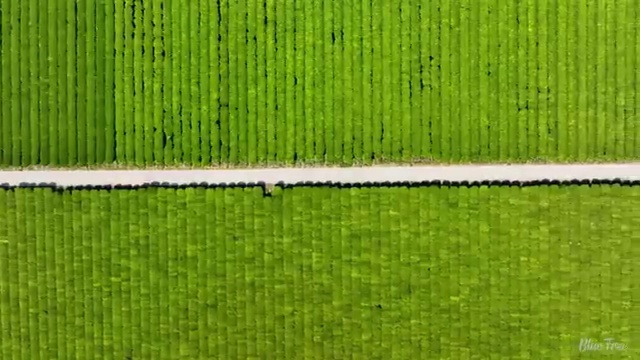  인터넷사회복지 ~ 사회복지사 고졸도 온라인 과정으로 쉽고 빠르게