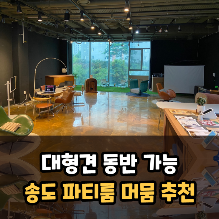 대형견 동반 가능한 송도파티룸 머뭄